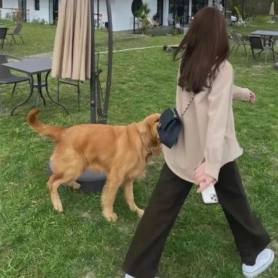骇钱怪物